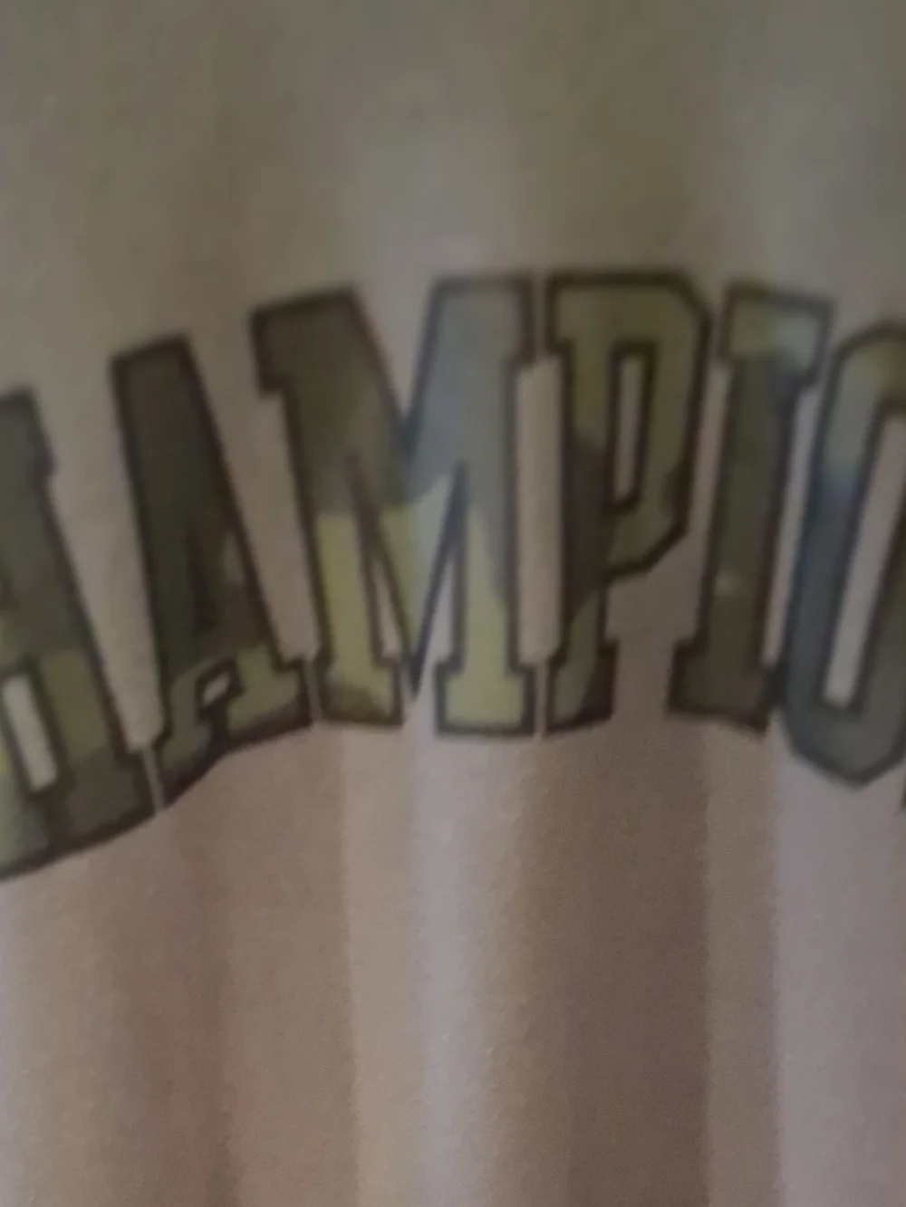 Champion Men's Light Gray Crewneck Hoodie with Logo